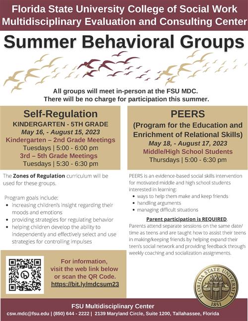 FSU Summer Behavioral Groups